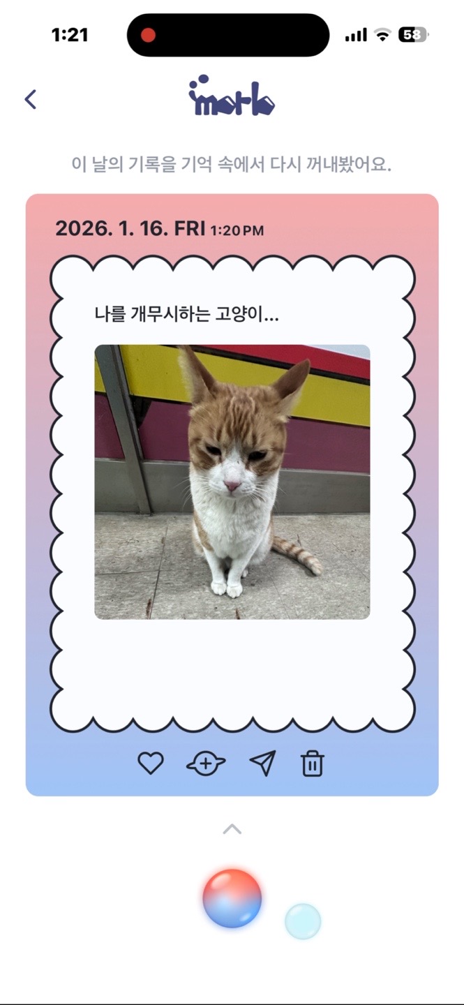 Morb의 순간 기록 화면
